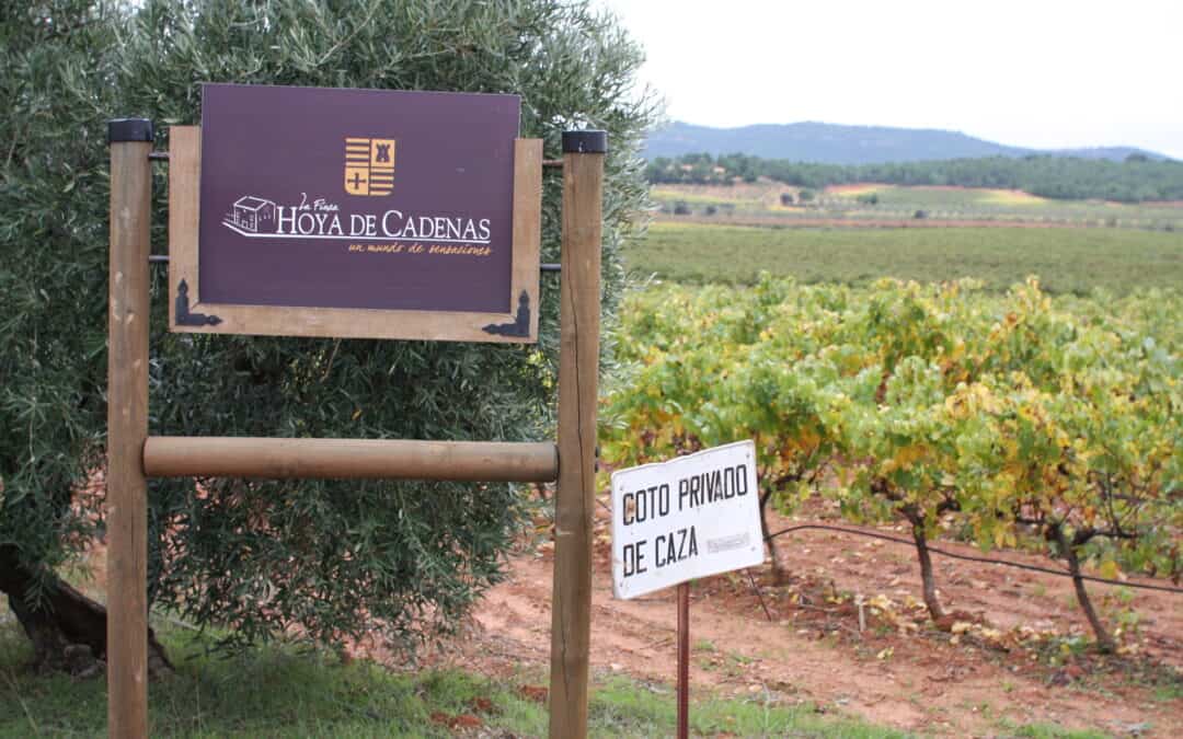 Bezichtiging van wijngaarden