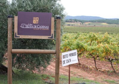 Bezichtiging van wijngaarden